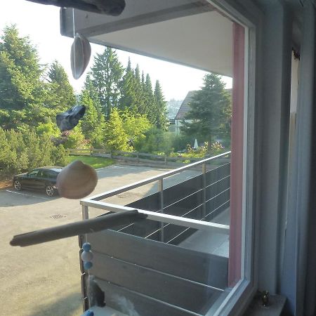 Moderne, Ruhige Ferienwohnung In Braunlage Harz Inkl Wlan & Netflix Extérieur photo