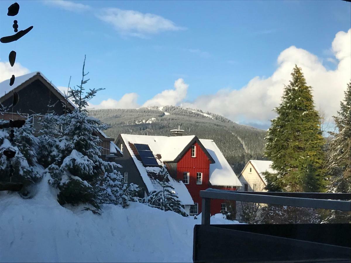 Moderne, Ruhige Ferienwohnung In Braunlage Harz Inkl Wlan & Netflix Extérieur photo